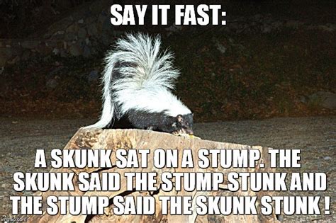 stinks meme|stinky skunk meme.